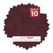 Dark Red Suede 10x14 Uncut Mat Board - Blank Sheet, No Opening